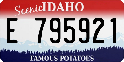 ID license plate E795921