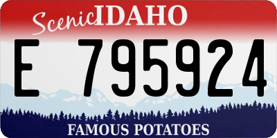 ID license plate E795924