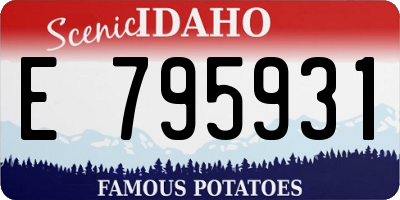 ID license plate E795931