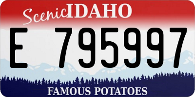 ID license plate E795997