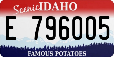 ID license plate E796005