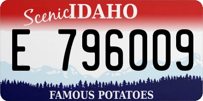 ID license plate E796009