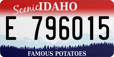 ID license plate E796015