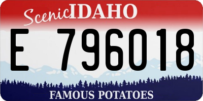 ID license plate E796018