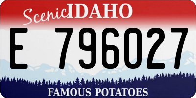 ID license plate E796027