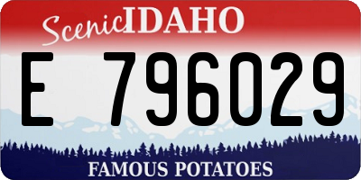 ID license plate E796029