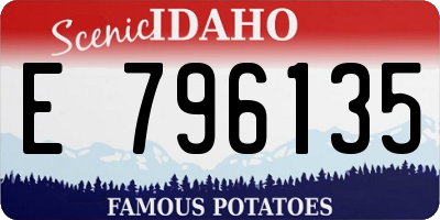 ID license plate E796135