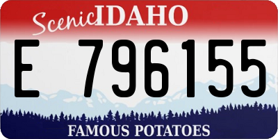 ID license plate E796155