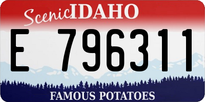 ID license plate E796311