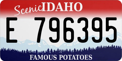 ID license plate E796395
