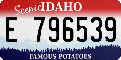 ID license plate E796539