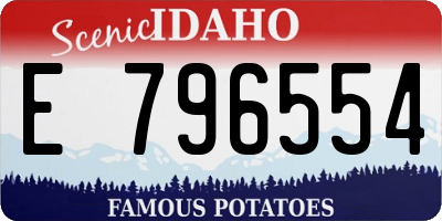 ID license plate E796554