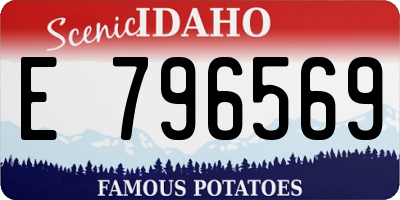 ID license plate E796569