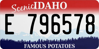 ID license plate E796578