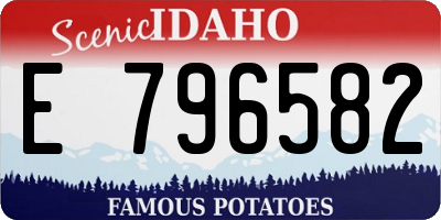 ID license plate E796582