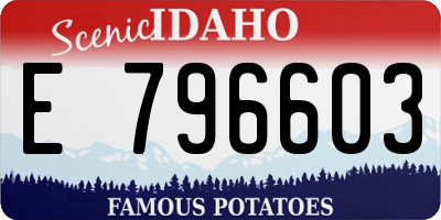 ID license plate E796603