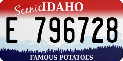 ID license plate E796728