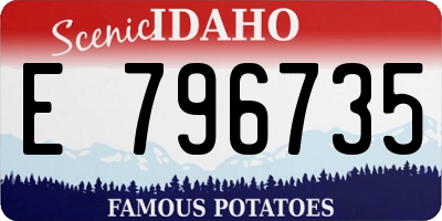 ID license plate E796735