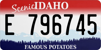 ID license plate E796745