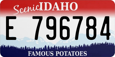 ID license plate E796784