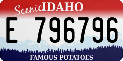 ID license plate E796796