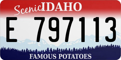 ID license plate E797113