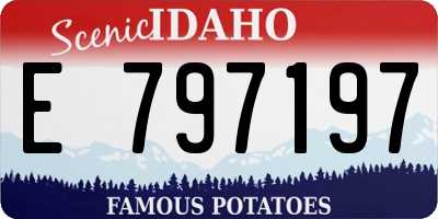 ID license plate E797197