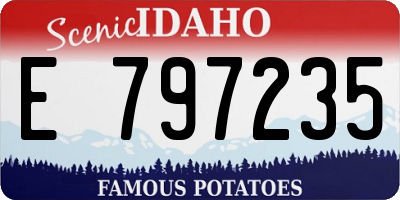ID license plate E797235