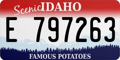 ID license plate E797263