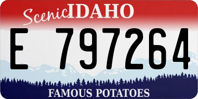 ID license plate E797264