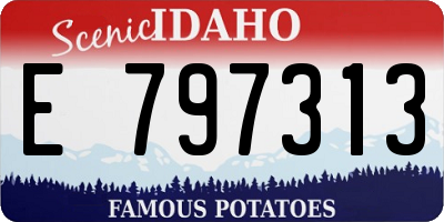 ID license plate E797313