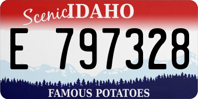 ID license plate E797328