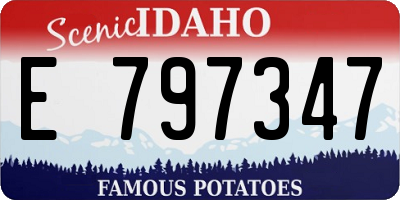 ID license plate E797347
