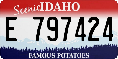 ID license plate E797424