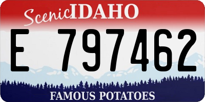 ID license plate E797462