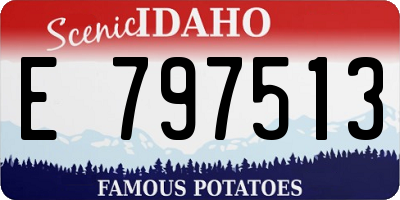 ID license plate E797513