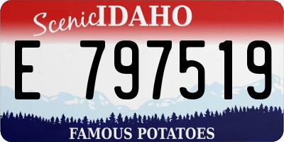 ID license plate E797519