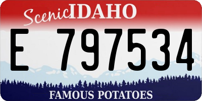 ID license plate E797534