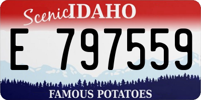 ID license plate E797559