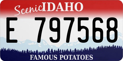 ID license plate E797568