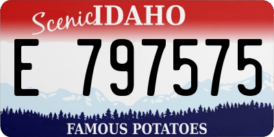 ID license plate E797575
