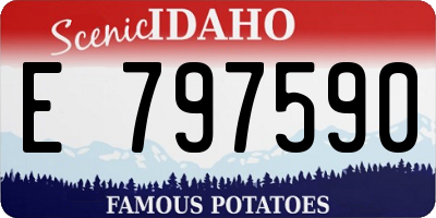 ID license plate E797590
