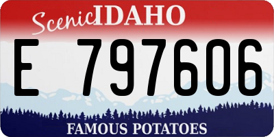 ID license plate E797606