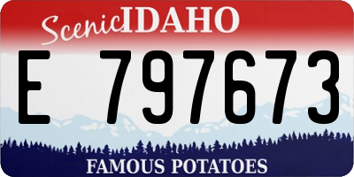 ID license plate E797673
