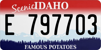 ID license plate E797703