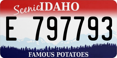 ID license plate E797793