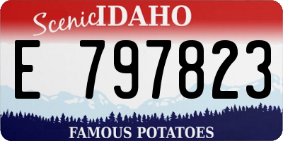 ID license plate E797823