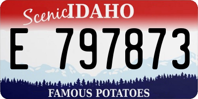 ID license plate E797873