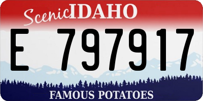 ID license plate E797917
