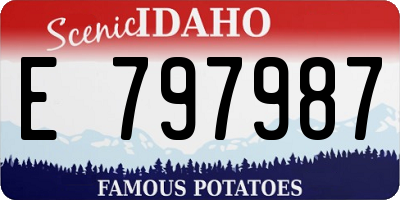 ID license plate E797987